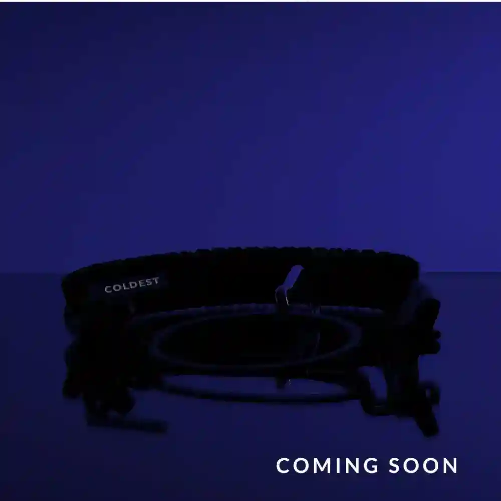 Thumbnail 42